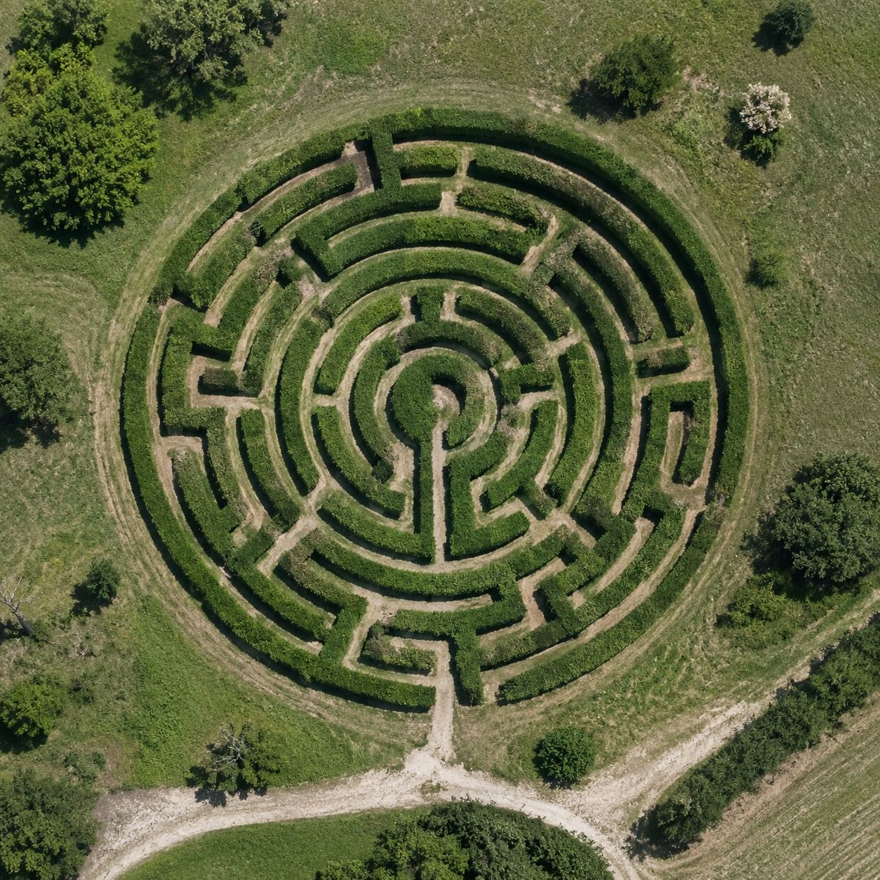 Preview of the “Plant maze” challenge